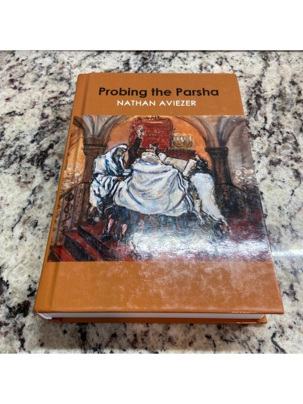 Probing the Parsha Hardcover Nathan Aviezer Jewish Torah Commentary